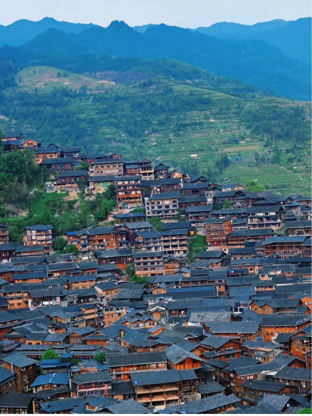 DƬ